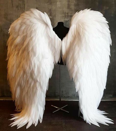 Maleficent Wings, Angel Wings Cosplay, Maleficent Cosplay, Ali D'angelo, Diy Angel Wings, Angel Wings Costume, Cosplay Wings, White Angel Wings, Angel Costume