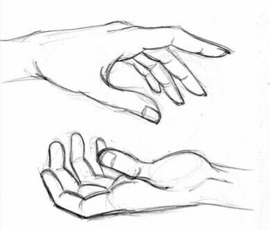 Hand Reaching Out Drawing, Flowers Art Drawing, Hand Gesture Drawing, 심플한 그림, Hand Drawing Reference, Cool Pencil Drawings, Hand Sketch, Figure Drawing Reference, Flowers Art