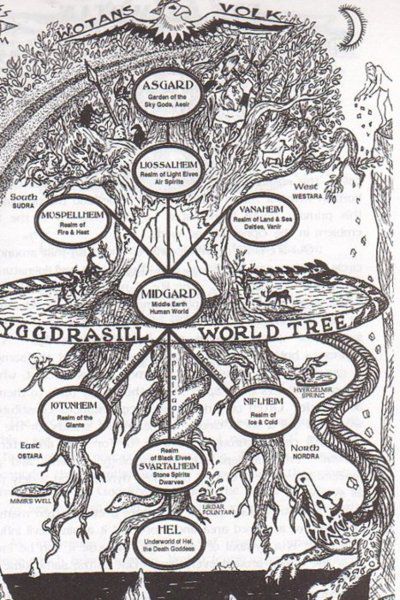 Yggdrasil: Tree of Life World Tree, Different Symbols, Norse Myth, Norse Pagan, Richard Iii, Old Norse, Norse Vikings, The Tree Of Life, Norse Mythology