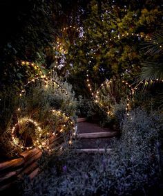 Fairy Lights In Trees, Fairy Lights Garden, Magical Decor, Lighted Centerpieces, Outdoor Fairy Lights, Outdoor Party Lighting, Solar Fairy Lights, Modern Outdoor Lighting, Backyard Lighting