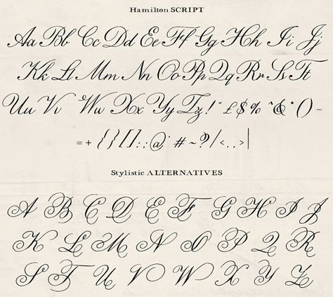 Different Cursive Styles, Fancy Fonts Alphabet, Cursive Letters Fancy, Fancy Cursive Fonts, Pretty Calligraphy, Calligraphy Writing Styles, Cursive Writing Practice Sheets, Fancy Cursive, Hand Lettering Alphabet Fonts