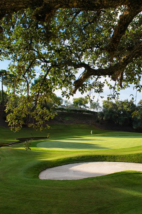 Golf course with sand bunker shaded by tree. Private Golf Course, Golf Course House, Golf Swag, 2025 Vibes, Marbella Club, Dream Villa, Golf Images, Golf Hotel, Beachfront Villa