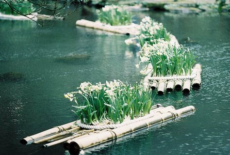 Photo of the Day: Floating Gardens in Taiwan |White blooms stand neatly on floating bamboo rafts in Taipei City, #Taiwan on April 1, 2013. (billlushana1/Flickr) Floating Gardens, Floating Raft, Taman Air, Flower Garden Plans, Floating Garden, Natural Swimming Pools, Permaculture Gardening, Rain Garden, Natural Pool