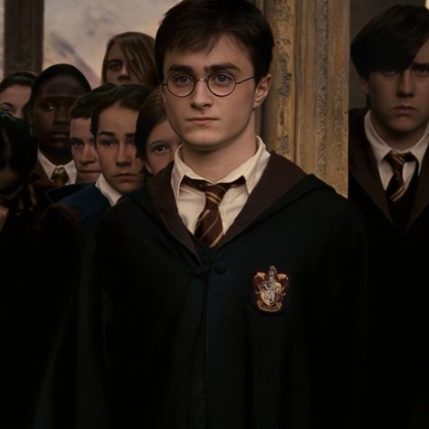 Harry Potter Order, Maxence Danet, Gryffindor Aesthetic, Harry Potte, Harry Potter Images, Harry James, Harry James Potter, Daniel Radcliffe, Harry Potter Movies