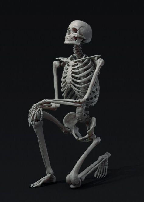 ArtStation - Human skeleton in a dynamic pose Skeleton In Different Poses, Skeleton Anatomy Reference Pose, Skeleton Dynamic Poses, Human Skeleton Poses, Dynamic Skeleton Poses, Skeleton Squatting, Skeleton Reference Anatomy, Human Skeleton Reference, Skeleton Sitting Down