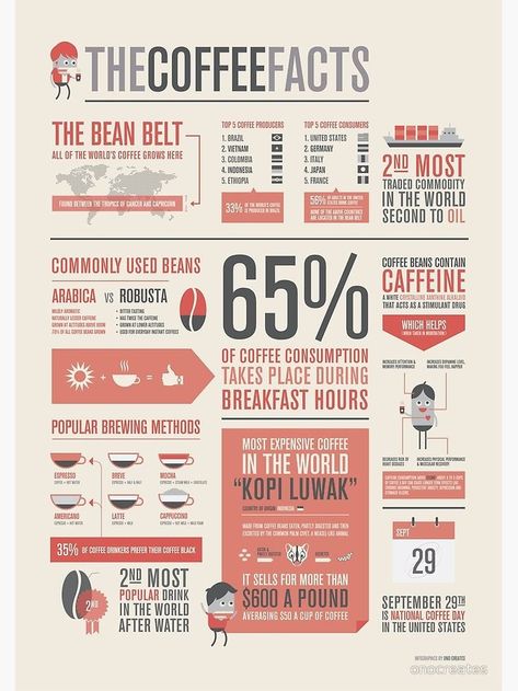 Coffee Facts Infographic, Art Resume, Facts Infographic, Neon Poster, Coffee Infographic, Types Of Coffee, Infographic Layout, Infographic Inspiration, Coffee Facts