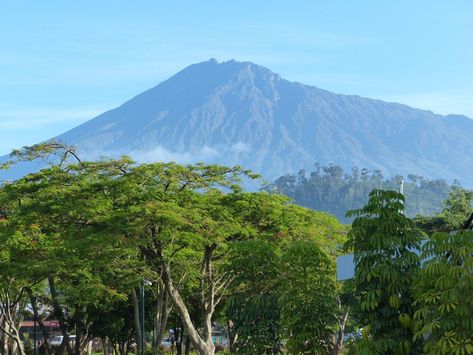 Mount Meru the perfect alternative to trekking Kilimanjaro: Jungle Theme Rooms, Mount Meru, Environment Photography, Altitude Sickness, Mount Kilimanjaro, Wild Forest, Arusha, Home Again, Jungle Theme