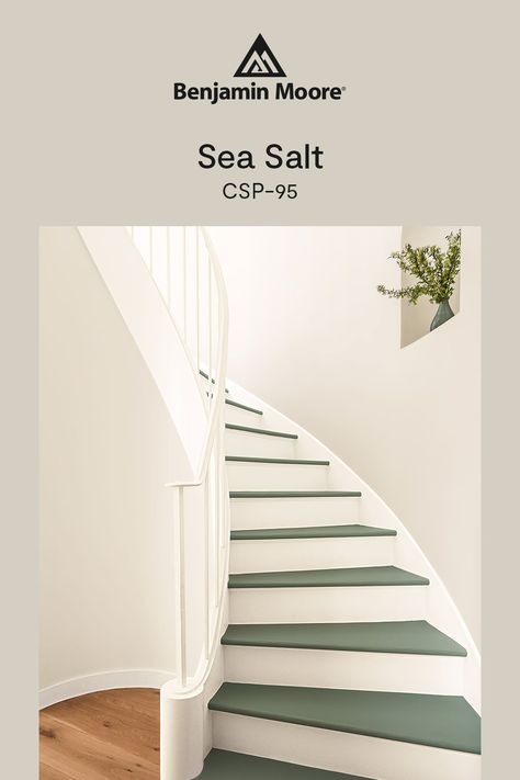 Benjamin Moore 2025 Color Trends, Benjamin Moore Paint Colors 2025, 2025 Paint Color Trends Benjamin Moore, Benjamin Moore Warm Neutrals, Sea Pearl Benjamin Moore, Sea Salt Benjamin Moore, Benjamin Moore Sea Salt, Benjamin Moore Paint Colors, Trending Paint Colors