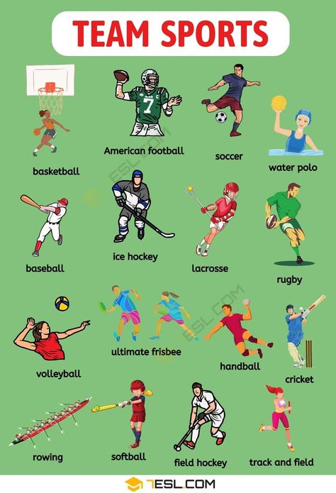 Team Sports Physical Education Activities, Sports List, Physical Education Lessons, English Grammar For Kids, Volleyball Tournaments, Experiments Kids, Grammar For Kids, Visual Dictionary, Study English