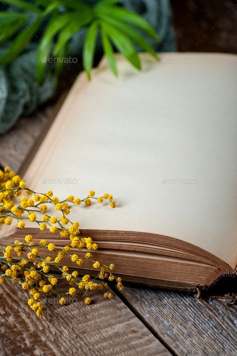 Opened book with blank pages on an old wooden table with mimosa flowers. Opened Book Aesthetic, Aesthetic Books Background, Empty Book Pages Aesthetic, Open Book Wallpaper, Old Page Background, Blank Book Page, Open Book Aesthetic, Blank Pages Aesthetic, Blank Page Book