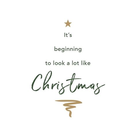 @amandane posted to Instagram: Christmas is my favourite time of the year!  I love to have my family around me and sharing the love of giving!  I am fortunate enough to have all my children and grandchildren with me this year.    How about you?  #familytime #christmas #aroundthechristmastree #timetogive #xmas #christmastime #festive  #christmastree #merrychristmas #familyday #santaclaus #easyonthetongue Holiday Iphone Wallpaper, Hello Christmas, Xmas Quotes, Last Minute Gift Ideas, Pre K Activities, Local Gifts, Month Flowers, Self Reminder, Holiday Ready