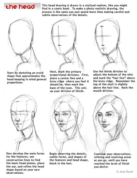 How to Draw a Face - 25 Step by Step Drawings and Video Tutorials | Read full article: http://webneel.com/how-draw-faces-drawings | more http://webneel.com/drawings | Follow us www.pinterest.com/webneel رسم كاريكاتير, Face Proportions, Draw Realistic, 얼굴 드로잉, Drawing Hair, Portrait Sketch, 얼굴 그리기, Winter Watercolor, Drawing Faces