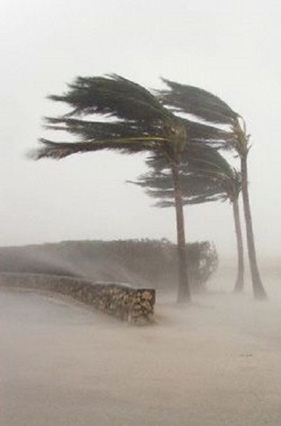 Blowin' In The Wind, Weather Storm, Blowing In The Wind, Wild Weather, Stormy Weather, Windy Day, Natural Phenomena, The Sand, Tornado