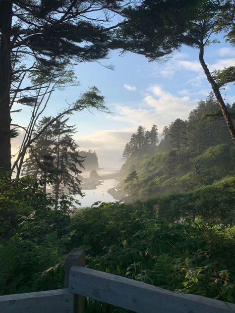 Ruby Beach, Washington State Pacifica Northwest Aesthetic, Pacific Northwest Aesthetic, Ruby Beach Washington, Northwest Road Trip, Pacifica Northwest, Summer Golden Hour, Washington Beaches, Fall Hikes, Mama Earth