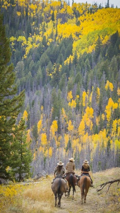 Canada Ranch Aesthetic, Rancher Life, Ranch Inspiration, Horse Trekking, Ranch Girl, Arte Cowboy, Dude Ranch Vacations, Ranch Living, Ranch Vacation