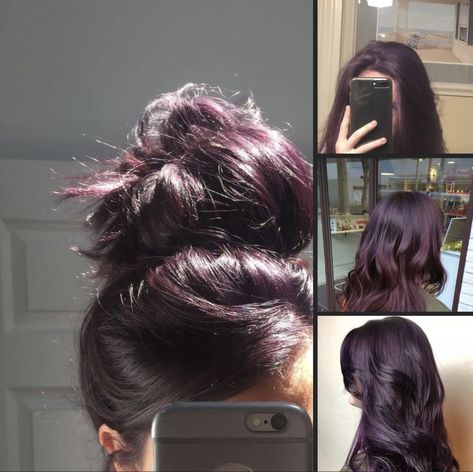 Natural Looking Purple Hair, Blackberry Hair Color Dark Short, Deep Lavender Hair, Purple Dark Hair, Deep Hair Color, Dark Hair Purple, Midnight Purple Hair, Hair Dye Techniques, Dark Purple Hair