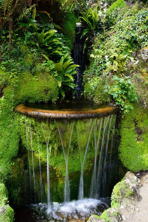 Schonbrunn Palace, Gardener Aesthetic, Ornamental Garden, Small Japanese Garden, Garden Nails, Taman Air, Japanese Garden Landscape, Garden Tattoo, Pond Water Features