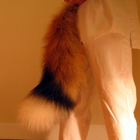 Fox Tail Aesthetic, Fox Ears Aesthetic, Fox Tail Reference, Fox Hybrid Oc, Fox Fursona, Tail Aesthetic, Fox Oc, Chester Cat, Cosplay Tail