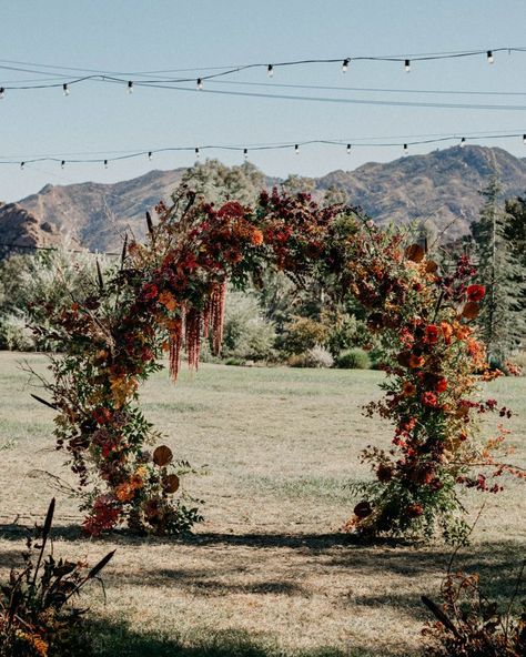 Wedding Fall Decor, Rustic Barn Weddings, October Celebrations, Boho Backyard, Fall Wedding Arches, Fall Wedding Ceremony, Floral Arch Wedding, Outdoor Fall Wedding, Arch Flowers