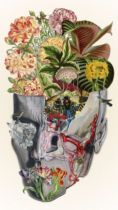 http://hifructose.com/2016/03/15/bedelgeuses-collages-blend-human-anatomy-with-nature/ Travis Bedel, Nature Collage, Brain Art, Medical Art, A Level Art, Collage Artists, Anatomy Art, Art Classes, Collage Art