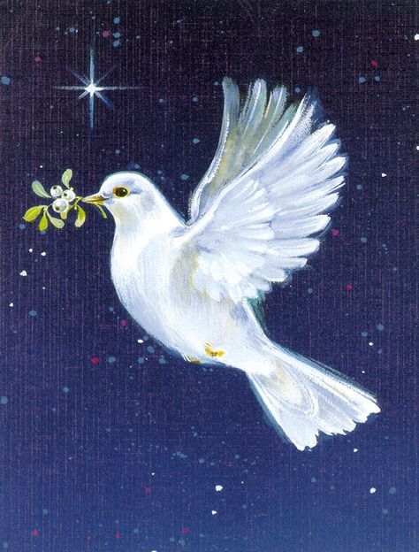 Dove Painting, Boxed Holiday Cards, The Olive Branch, White Dove, Peace Dove, Outdoor Flags, White Doves, Flag Decor, Olive Branch