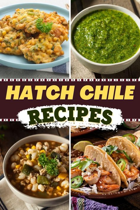 If you've never tried any Hatch chile recipes before, prepare to fall in love. Grown in New Mexico, they offer any dish a delicate and unique flavor. New Mexico Chile Recipes, Authentic New Mexico Recipes, Hatch Chili Pepper Recipes, New Mexico Recipes, Hatch Chili Peppers, Sizzling Recipe, Hatch Chili Recipes, Hatch Chile Recipes, Chili Burger