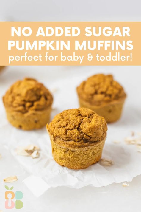 Baby Led Weaning Pumpkin Muffins (No Added Sugar) - Baby Led Bliss Baby Pumpkin Muffins, Pumpkin Baby Food, Pumpkin Oatmeal Muffins, Mini Pumpkin Muffins, Pumpkin Banana Muffins, Toddler Muffins, Blw Recipes, Baby Muffins, Toddler Recipes