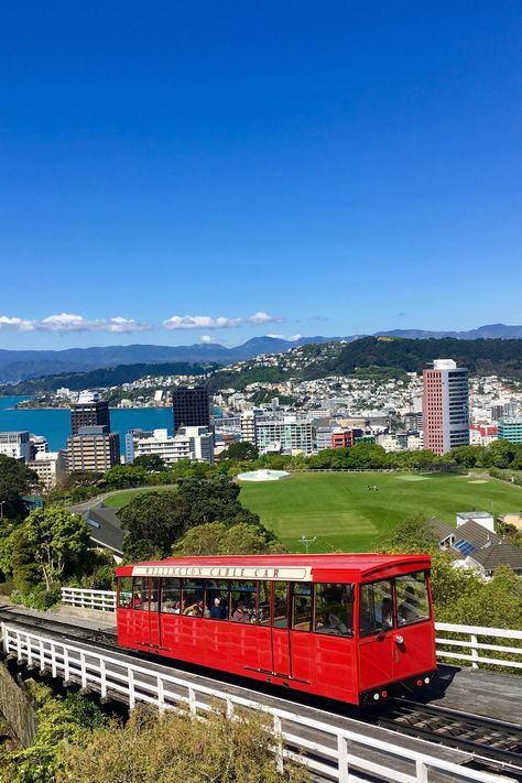 The Best Things to Do in Wellington, New Zealand | Condé Nast Traveler Cuba Street, Painted Globe, New Zealand Travel Guide, Fifa Women's World Cup, Auckland Nz, Wellington New Zealand, Women's World Cup, Cable Car, Conde Nast Traveler