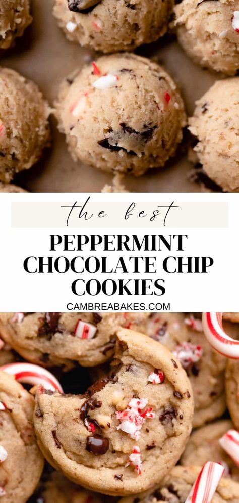 Peppermint Chocolate Chip Cookies, Christmas Cookie Recipes Holiday, Peppermint Chocolate, Christmas Baking Recipes, Holiday Cookie Recipes, Christmas Food Desserts, Sweet Snacks Recipes, Christmas Cooking, Baking Sweets