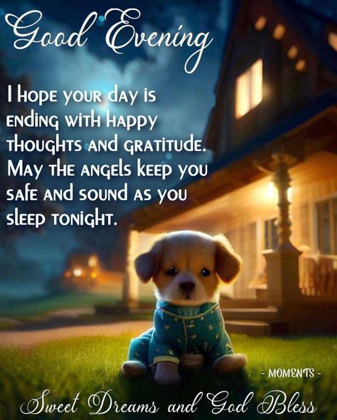 Evening Blessings Beautiful, Wishing You A Good Night, Blessed Evening Quotes Good Night, Blessed Good Night Quotes, Have A Good Night My Friend, Have A Good Evening Gif, Good Night Friends Friendship, Blessed Evening Quotes, Evening Sayings