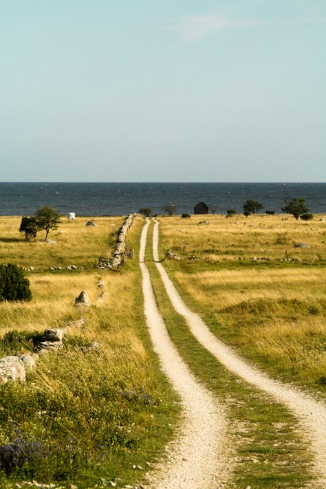 Sudret Gotland Sweden Gotland Sweden, Red Lights, Gap Year, Cinematic Photography, Tears Of Joy, Travel Europe, Summer Photos, Film Camera, Scandinavia