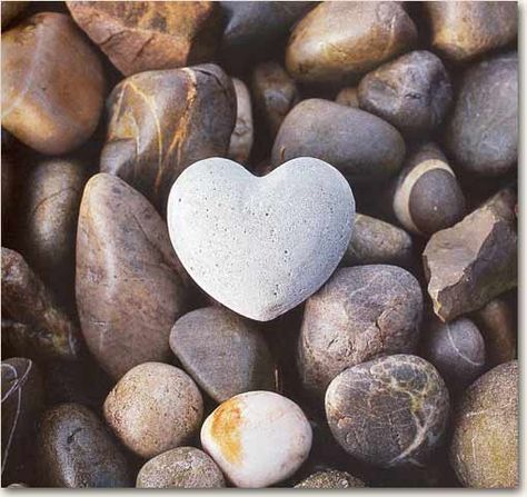 Hearts in nature - The blog has several unique natural heart pictures. Heart Shaped Rocks, Heart In Nature, God Is Love, I Love Heart, Heart Pictures, Happy Heart, Felt Hearts, Stone Heart, Beautiful Heart