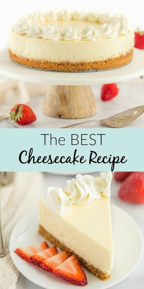 This Classic Cheesecake Recipe is super smooth, creamy, and topped on a homemade graham cracker crust. This post also includes a lot of helpful tips to get the perfect cheesecake every single time, plus different topping options to really make this recipe your own! #cheesecake #recipe #dessert #classic Fun Cheesecake Recipes, The Perfect Cheesecake, Homemade Graham Cracker, Perfect Cheesecake, Cheesecake Desserts Recipes, The Best Cheesecake, Delicious Cheesecake Recipes, Easy Party Desserts, Homemade Graham Cracker Crust