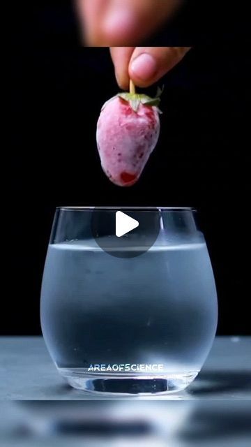 Science Info on Instagram: "Hot ICE At Home - Science Amazing Experiment. Follow:- @Areaofscience . . #science #sciencelovers #sciencefact #sciencefacts #facts #fact #explorepage #viral #trendingreels #trending" Hot Ice Experiment, Amazing Science Experiments, Science Fact, Amazing Science Facts, Unbelievable Facts, December 8, Science Facts, Social Issues, At Home