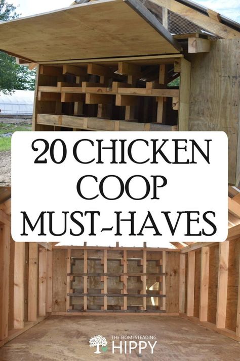 20 Chicken Coop, Inside Chicken Coop, Chicken Roost, Cute Chicken Coops, Small Chicken Coops, Walk In Chicken Coop, Chicken Coop Garden, Backyard Chicken Coop Plans, Diy Chicken Coop Plans