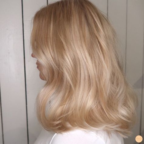 Champagne Blonde Hair, Highlight Ideas, Champagne Blonde, Light Blonde Hair, Honey Blonde Hair, Strawberry Blonde Hair, Blonde Hair Looks, Winged Liner, Long Blonde