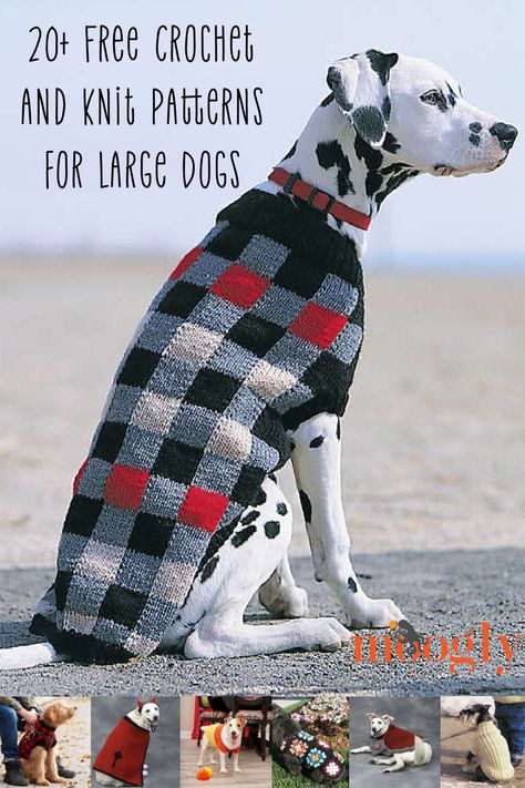 Who's got a good BIG boy (or girl)? I've shared dog-themed roundups before, but one comment I often get is the need for more patterns for bigger dogs! So today I've put together a list of free crochet and knit patterns for large dogs. Each of these patterns includes a largest size that is at least 26" around the chest! But there are usually smaller sizes too, so if your dog is smaller, be sure to click your favorites too! via @moogly Big Dog Sweaters, Crochet Dog Sweater Free Pattern, Large Dog Coats, Knitted Dog Sweater Pattern, Knitting Space, Knitting Patterns Free Dog, Large Dog Sweaters, Knitting Christmas, Crochet Dog Clothes