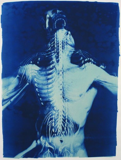 A Man, Skeleton, Blue And White, Blue, White