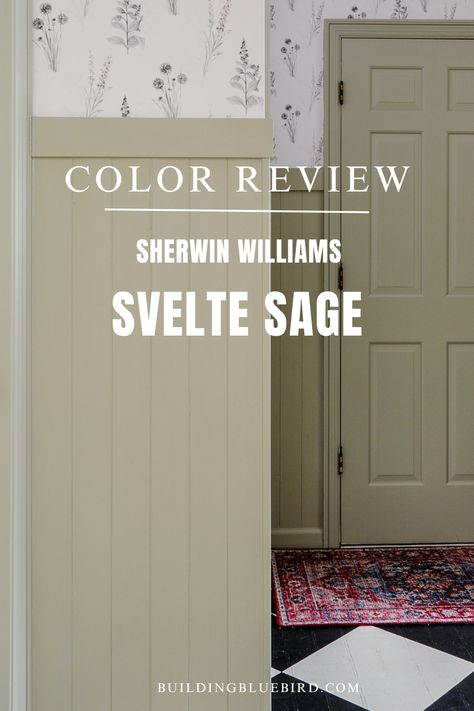 Sherwin Williams Svelte Sage Color Review Sheraton Sage Sherwin Williams, Green Sprout Sherwin Williams, Svelte Sage Sherwin Williams Exterior, Svelte Sage Sherwin Williams Cabinets, Sherwin Williams Spinach White, Sherwin Williams Sage Green Light, Sage Green Light Sherwin Williams, Sherwin Williams Soft Sage, Sw Softened Green