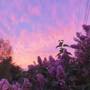 Calming Images, Purple Sunset, Purple Sky, Pretty Sky, Aesthetic Images, Beautiful Mountains, Purple Aesthetic, Nature Aesthetic, Sky Aesthetic