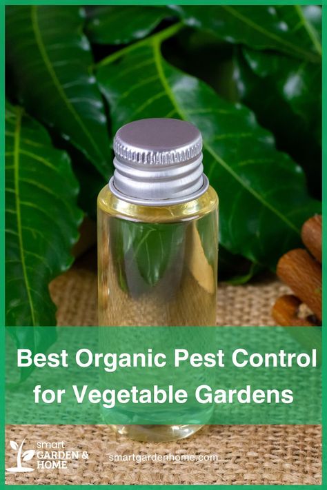 Transform your veggie garden with organic pest control!

Say goodbye to harmful chemicals and hello to safe, effective methods for pest management.

From companion planting to beneficial insects, keep your garden thriving naturally! Composting Methods, Cucumber Beetles, Organic Pest Control, Attracting Beneficial Insects, Insecticidal Soap, Garden Compost, Vegetable Gardens, Spider Mites, Smart Garden