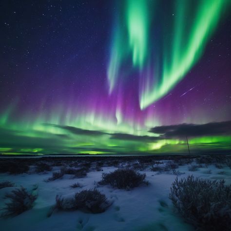 Northern Lights Dance Across the Sky: How a Space Storm Disrupted Communications

#auroraborealis #coronalmassejection #Earthsmagneticfield #electricalsystems #geomagneticstorm #GPSsignals #NorthernLights #radiocommunications #satellitecommunications #spaceweather #spaceweatherevents Royal Names, Earth's Magnetic Field, Geomagnetic Storm, Health Technology, Private Equity, Magnetic Field, Radio Communication, Communication System, Usa News