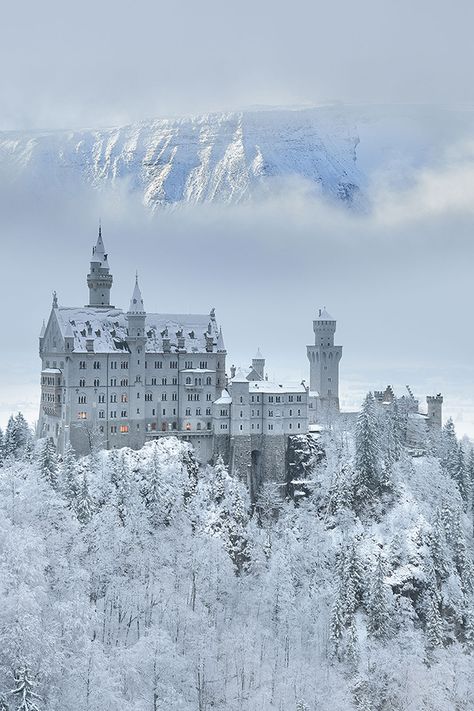 Snow Castle, Old Castle, Castle Aesthetic, Sleeping Beauty Castle, Winter Szenen, Neuschwanstein Castle, Snowy Forest, Foto Poses, Winter Scenery