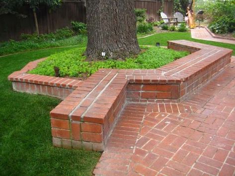 Simply Spectacular Cozy Seats Around a Tree homesthetics (21) Bench Around Trees, Tree Seat, Seat Wall, Outdoors Ideas, Landscaping Around Trees, Cozy Seats, Wall Seating, Garden Bench, Retaining Wall