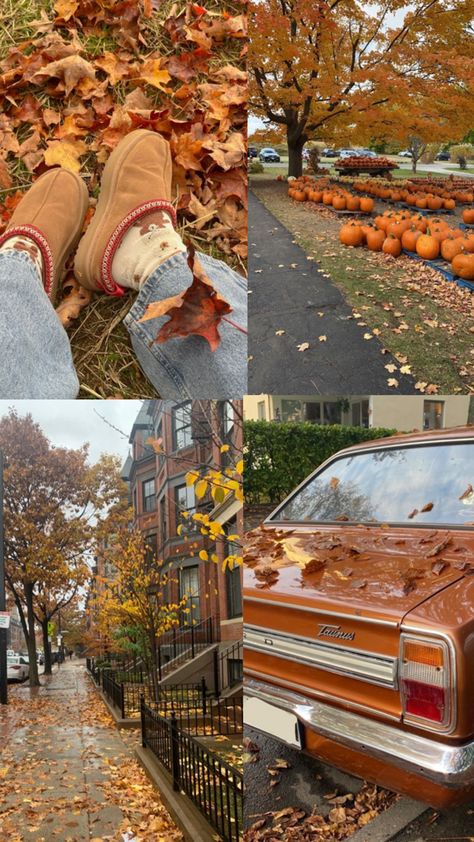 Fall Inspo Aesthetic, October Fall Aesthetic, Cosy Fall Aesthetic, Fall House Aesthetic, Fall Aesthetic Vibes, Fall Aethstetic, Fall And Halloween Aesthetic, Fall Asthetic Photos, Fall Vision Board