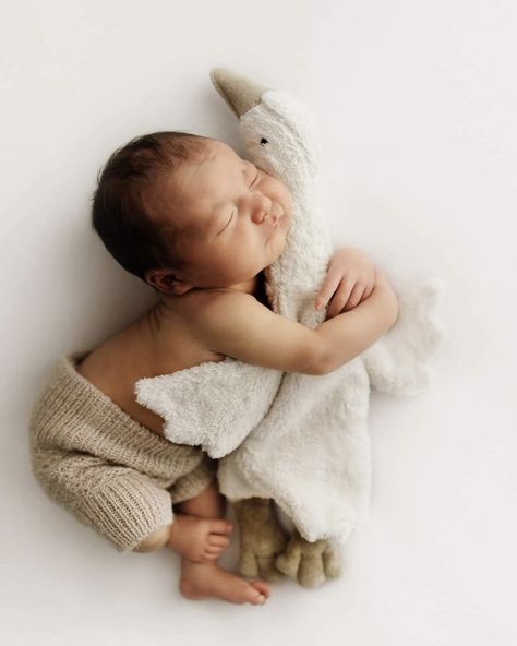 Newborn Photo With Stuffed Animal, Newborn Family Pictures, Foto Newborn, Newborn Photography Boy, Newborn Announcement, Baby Pictures Newborn, Newborn Family Photos, Newborn Baby Photoshoot, Baby Poses