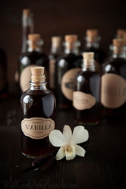 Homemade Vanilla Extract, Special Desserts, Homemade Vanilla, Food Gifts, High Tea, Diy Food, Vanilla Bean, Homemade Gifts, Vanilla Extract