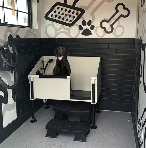 Dog Park Equipment | Dog Playground Equipment | Gyms For Dogs Pet Hotel Design Dog Daycare, Grooming Salon Ideas, Dog Grooming Salon Ideas, Dog Grooming Salon Decor, Dog Park Equipment, Dog Agility Equipment, Dog Hair Dye, Dog Boarding Facility, Dog Boarding Kennels