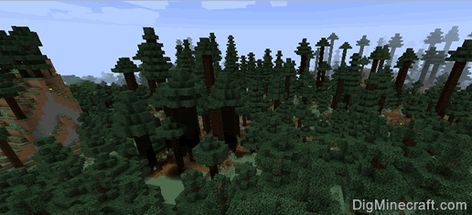 Aesthetic Minecraft Seeds, Taiga Biome, Minecraft Biome, Minecraft Id, Spruce Forest, Aesthetic Minecraft, Minecraft Seeds, Animals And Plants, Birch Forest