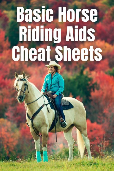 Read this blog post and get your riding aids cheat sheet. This is basic riding aids so, great for beginner horse riders. Also good for going back to the basics for more experienced riders.You can print the page or sign up and get a pdf of the cheat sheets. #beginnerequestrian #beginnerhorserider #learntohorseride #horsebackriding #horseriding #learnhorsebackriding #howtohorsebackriding #equestrianprintable #horseprintable Horse Riding For Beginners, Exercises For Horse Riders, Beginner Horse Riding, Ground Work For Horses, Horse Drills, Therapeutic Horseback Riding, Endurance Riding, Horse Training Exercises, Horseback Riding Tips